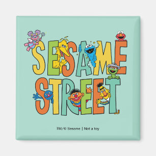 Sesame Street Sesame Street Type Packs Magnet