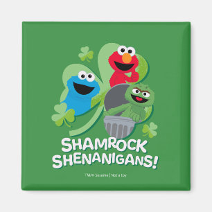 Sesame Street Shamrock Shenanigans! Magnet