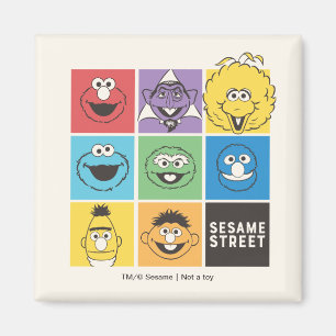 Sesame Street Vänner Färgblock Magnet
