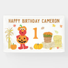 Sesame Street's Elmo Fall Birthday