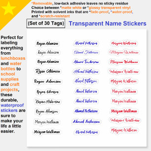 (Set of 30 Tags) Transparent Simple Name Stickers Klistermärken