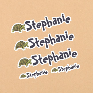 Set of 5 Cute Turtle Name Stickers Klistermärken
