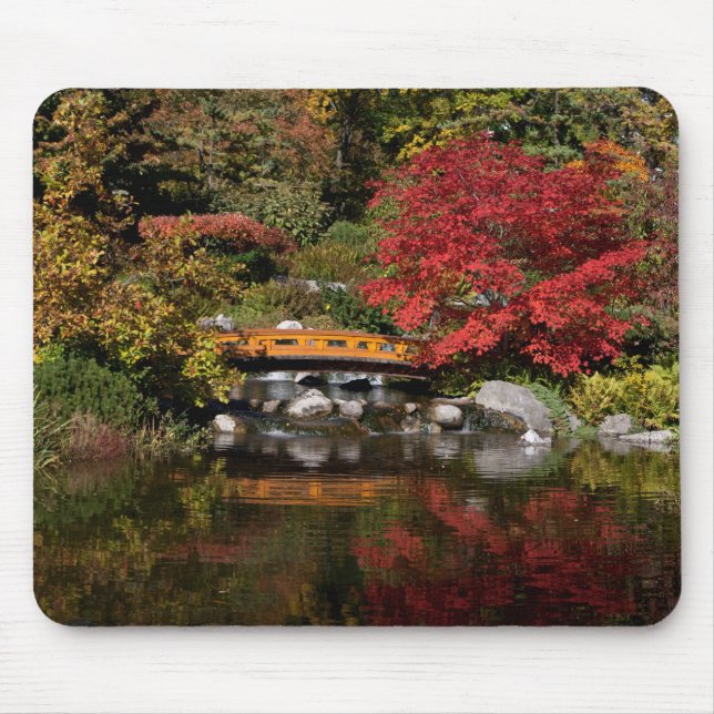 Setagaya Park Musmatta (Framsidan)