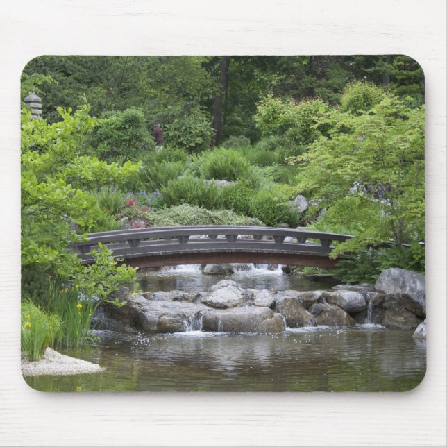 Setagaya Park Musmatta (Framsidan)