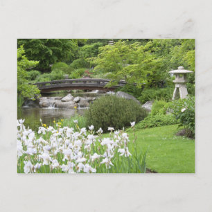 Setagaya Park Vykort