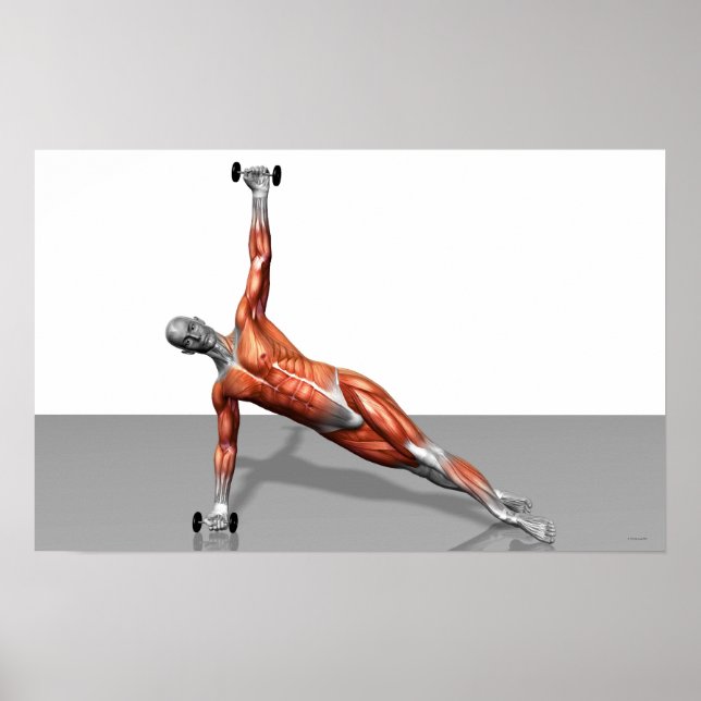 Setanta Push Up 2 Poster (Framsidan)