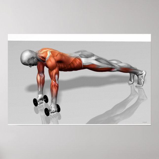 Setanta Push Up 4 Poster (Framsidan)