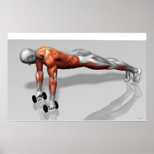 Setanta skjuter upp 4 poster