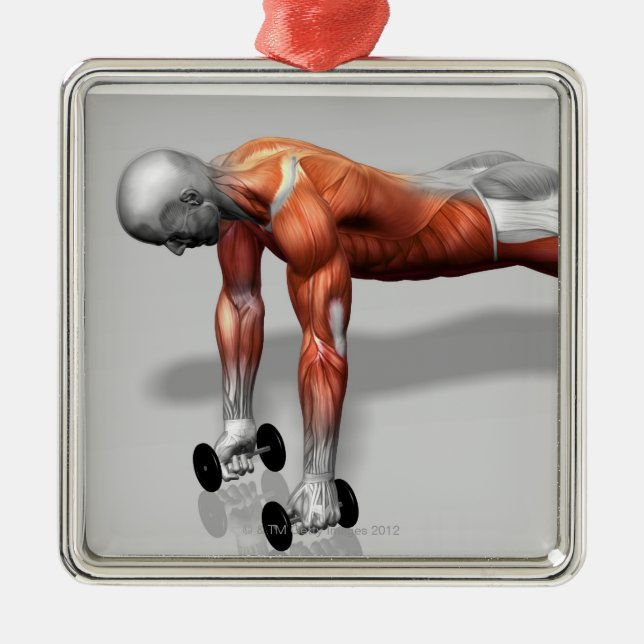 Setanta skjuter upp julgransprydnad metall (Framsidan)