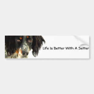 Setter Bildekal