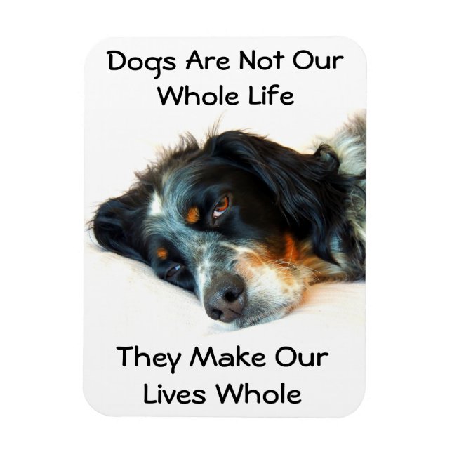 Setter Kärlek Photo Magnet (Vertikal)