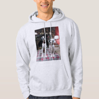 Setter Kärlek sötskjorta Hoodie