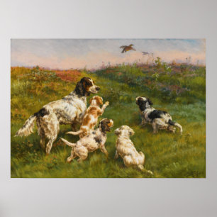 Setter och valper av Edmund Henry Osthaus Poster