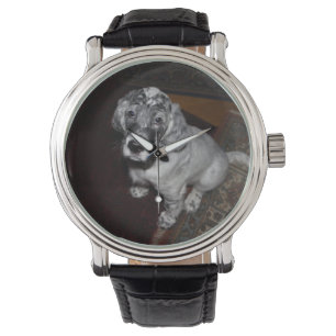 Setter Puppy, engelska Armbandsur