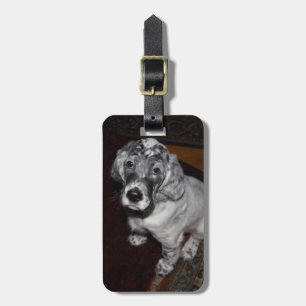 Setter Puppy, engelska Bagagebricka