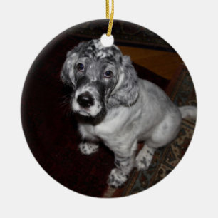 Setter Puppy, engelska Julgransprydnad Keramik