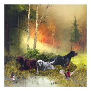 Setters-familjen Fototryck