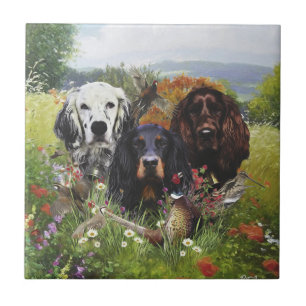 Setters-familjen Kakelplatta