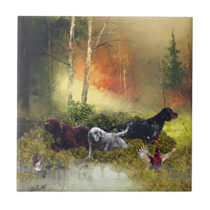 Setters-familjen Kakelplatta