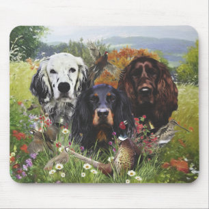 Setters-familjen Musmatta