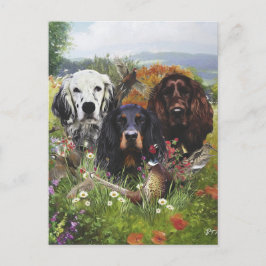 Setters-familjen Vykort