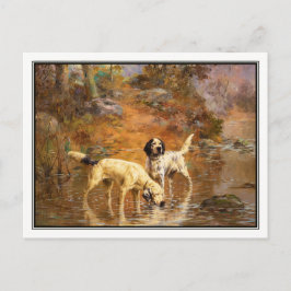 Setters in a Cooling Stream by Percival Rosseau Vykort