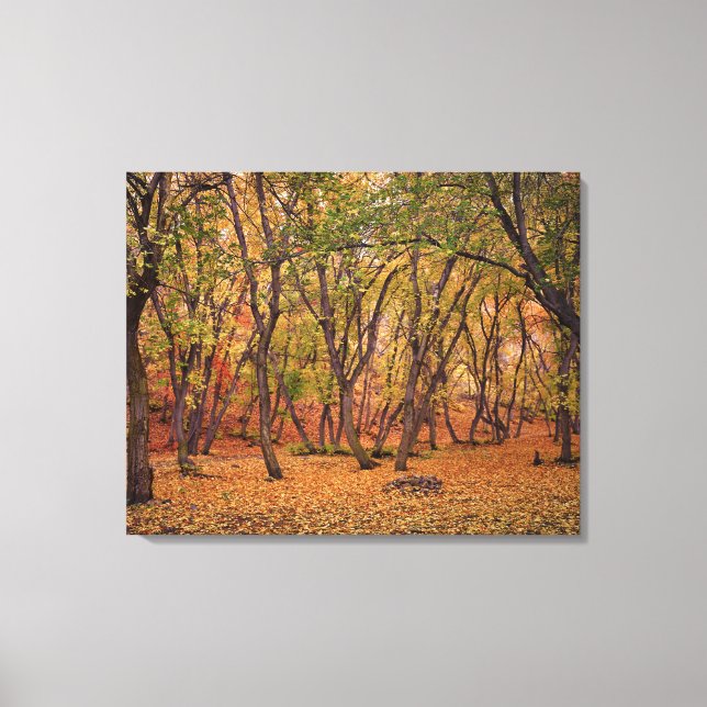 Settlement Canyon Canvastryck (Framsida)