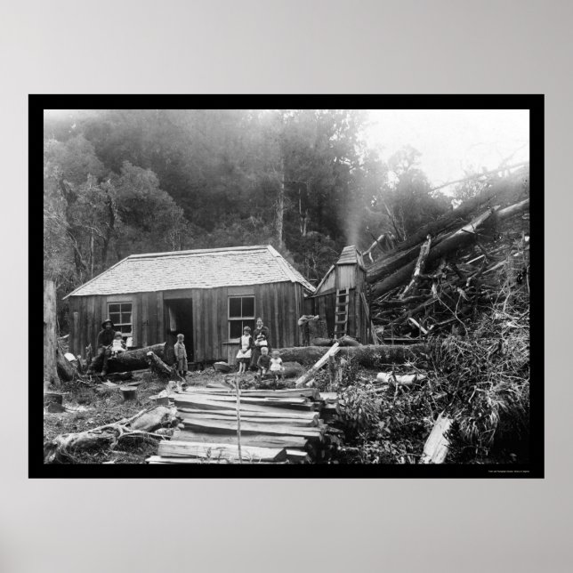 Settler Homestead i Nya Zeeland 1906 Poster (Framsidan)