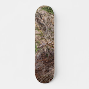 Seven Falls Colorado Mini Skateboard Bräda 18,5 Cm