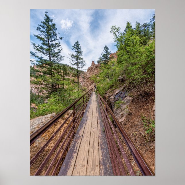 Seven Falls Walkway Bridge Poster (Framsidan)