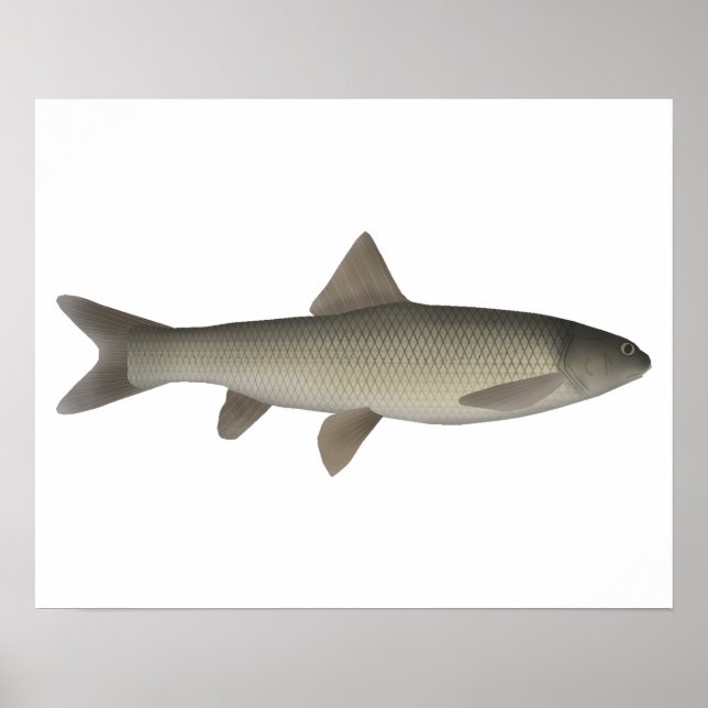 Seven Khramulya Poster (Framsidan)