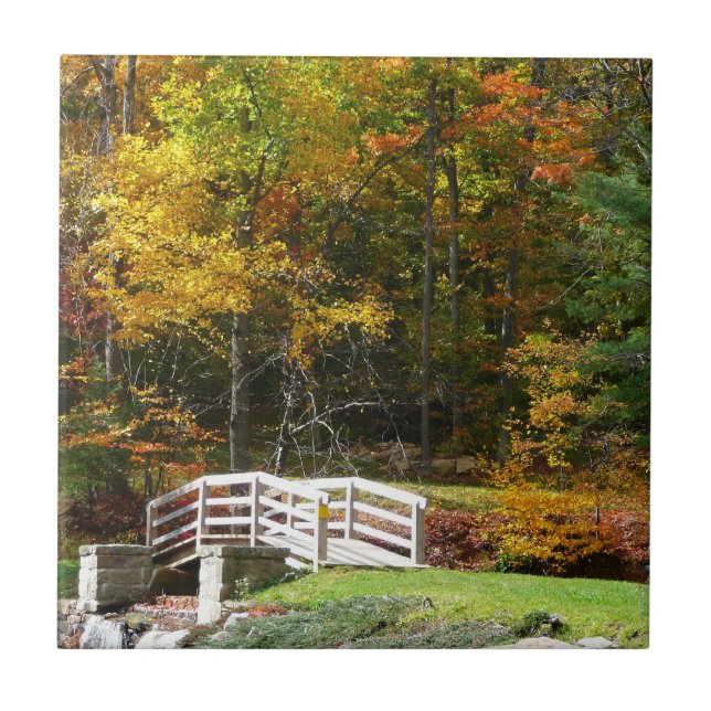 Seven Springs Fall Bridge I Höstlandskap Kakelplatta (Framsidan)