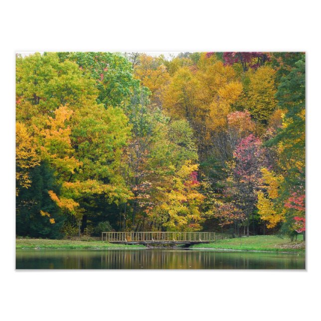 Seven Springs Fall Bridge II Höstlandskap Fototryck (Framsidan)