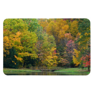 Seven Springs Fall Bridge II Höstlandskap Magnet