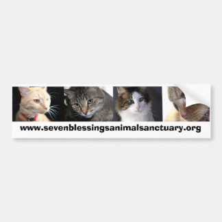 sevenblessingsanimalsanctuary.org bildekal