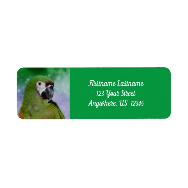 Severe Macaw Parrot Bird Adress Returadress Etikett (Framsidan)