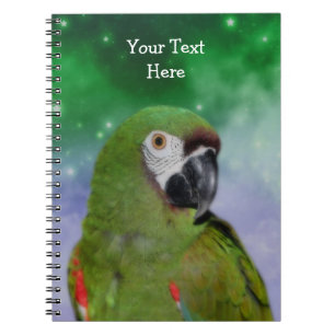 Severe Macaw Parrot Bird Art Anteckningsbok