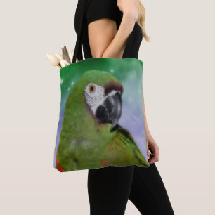 Severe Macaw Parrot Bird Tygkasse