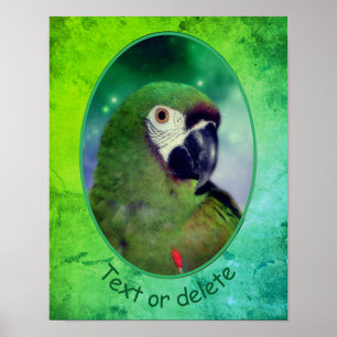 Severe Macaw Parrot Personlig Ord Poster