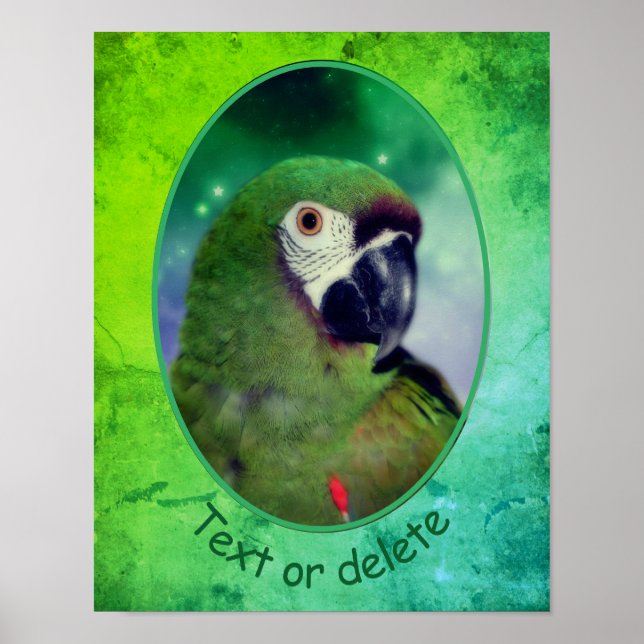 Severe Macaw Parrot Personlig Ord Poster (Framsidan)