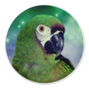 Severe Macaw Parrot stäng upp Knopp