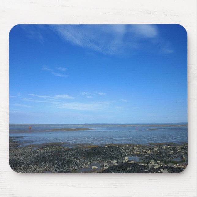 Severn Estuary vid Penarth II Musmatta (Framsidan)