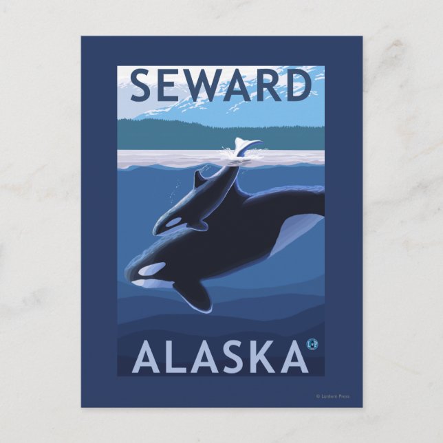 Seward, AlaskaOrca och Calf Scene Vykort (Framsida)