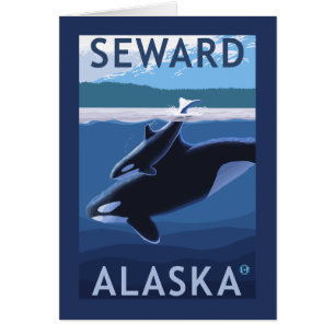 Seward, AlaskaOrca och kalvplats Hälsningskort