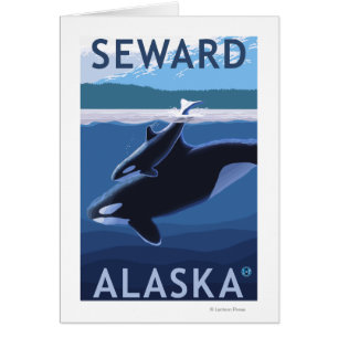 Seward, AlaskaOrca och kalvplats Hälsningskort