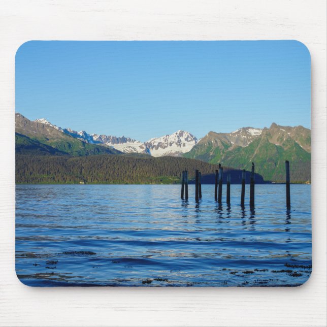 Seward Beauty Musmatta (Framsidan)