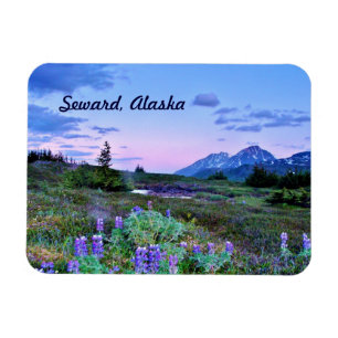 Seward den Alaska magneten reser Magnet