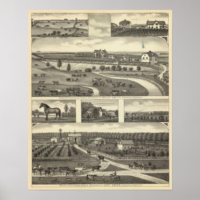 Seward Farms, Nebraska Poster (Framsidan)