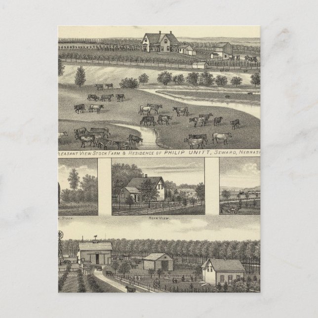 Seward Farms, Nebraska Vykort (Framsida)