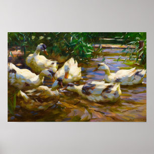 Sex Ankor i Blue Reed Vatten av Alexander Koester Poster